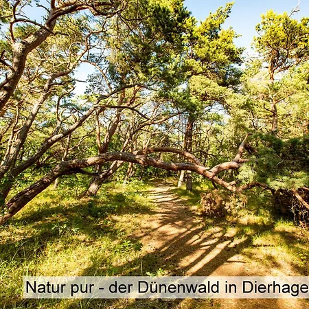 Meereslust Og 3r דירה